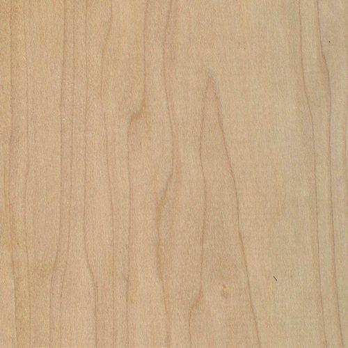 Wood grain of Sugar Maple